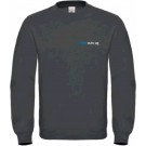 color:anthracite